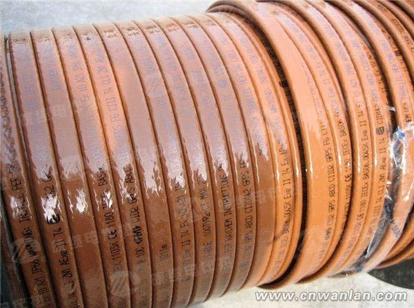 进口瑞侃电伴热带结构图