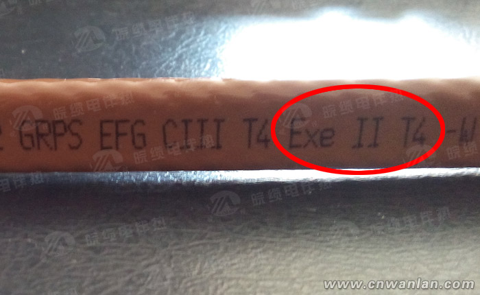 自限温电伴热带防爆标志的识别