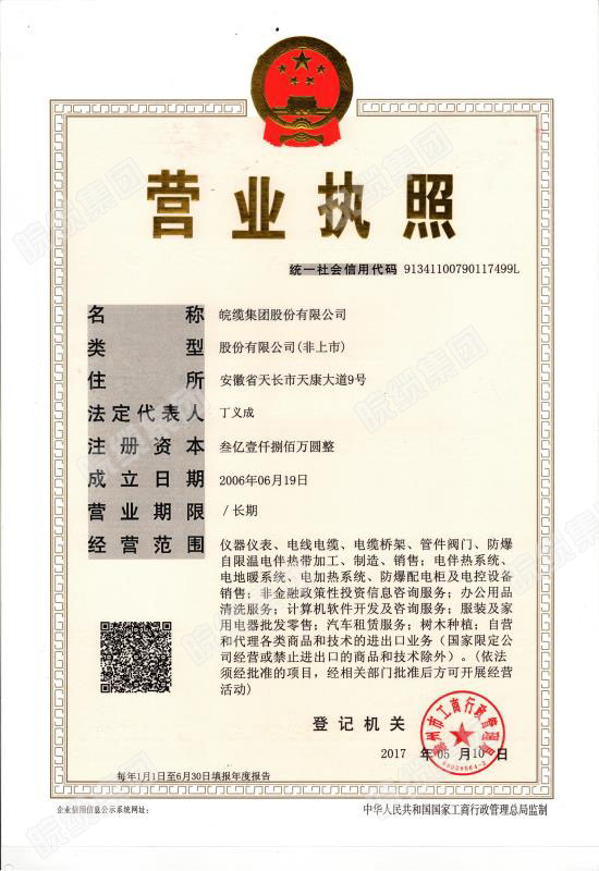 营业执照（正本），统一社会信用代码：91341100790117499L